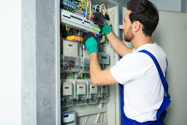 Best Electric Panel Repair  in North Aurora, IL